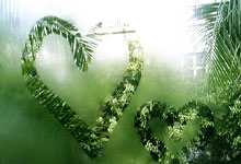 C7娱乐官网：[棋牌]棋城杯西南棋王赛相约杜甫草堂 古力党毅飞等出战.