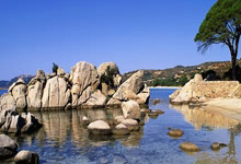 英联杯-哈弗茨破门热苏斯建功 阿森纳3-0进8强.